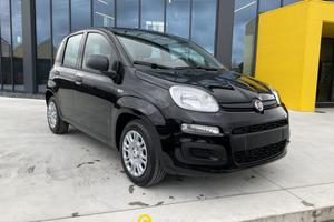 FIAT Panda 1.0 FireFly S&S Hybrid Icon