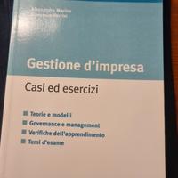 gestione d'impresa casi ed esercizi 