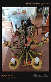 Lampadario