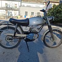 motorino  guzzi dingo