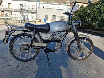 motorino  guzzi dingo