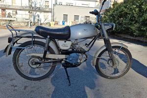 motorino  guzzi dingo