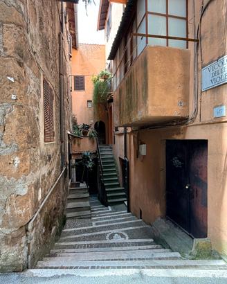 Zagarolo centro:locale c/2 possibilita' cambio uso