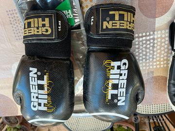 Guantoni boxe pugilato green hill 14 oz