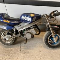 Mini moto e quad 50cc