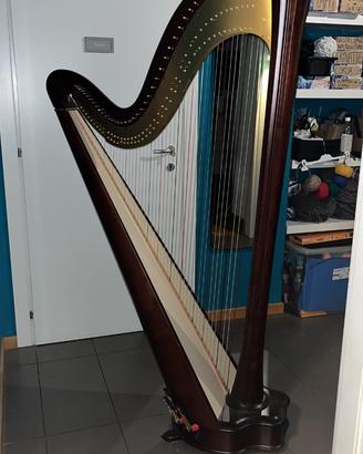 Arpa Salvi DAPHNE 47S