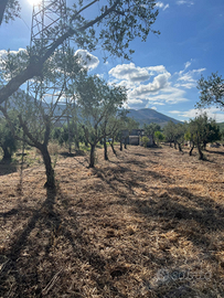 Terreno agricolo con unità abitativa