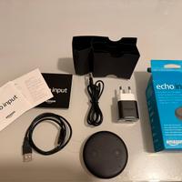 Amazon Echo Input