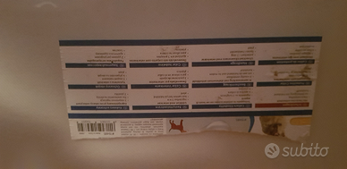 Collare Elisabetta cane tg.grande