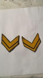 Gradi militari  da sergente maggiore