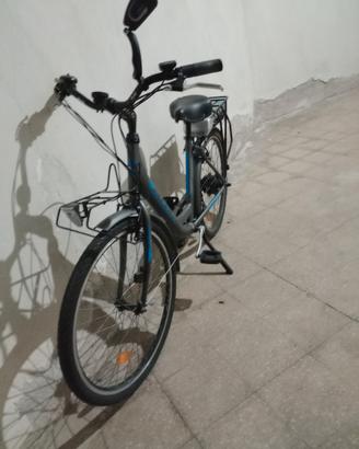 bicicletta elettrica 
