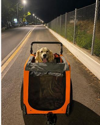 Passeggino per trasporto cani