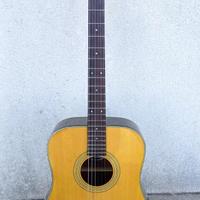 Chitarra acustica ibanez Lonestar LS300