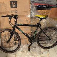 bicicletta