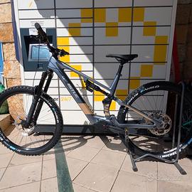 Whistle AXR c8.6 TGL