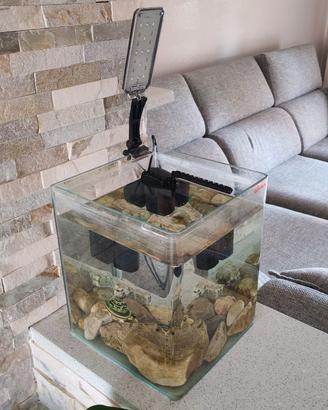 Acquario Wave box cubo