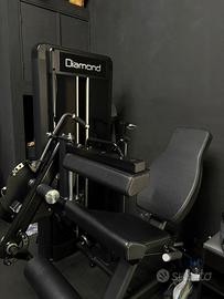 Combo leg curl-extension