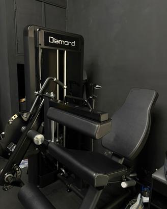 Combo leg curl-extension
