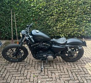 Harley Davidson  883 Iron