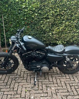 Harley Davidson  883 Iron