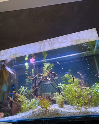 Acquario 250 lt su misura