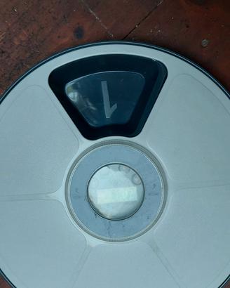 Distributore cibo umido/secco gatto