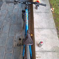 MOUNTAIN BIKE (2 BICI) PREZZO TRATTABILE 