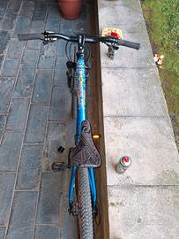 MOUNTAIN BIKE (2 BICI) PREZZO TRATTABILE 