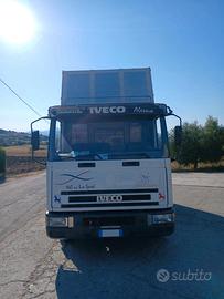 Eurocargo 60 e 14