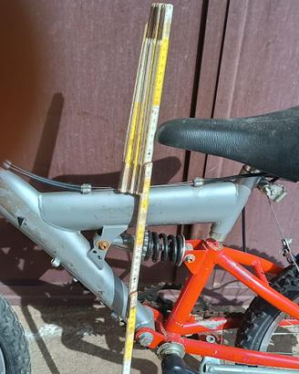 bicicletta 