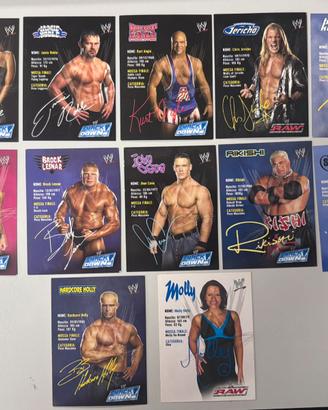 Lotto Carte WRESTLING WWE Merlin 2004 Raw Smack