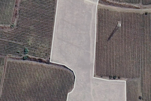 Terreno agricolo con Uliveto Santa Ninfa/Partanna