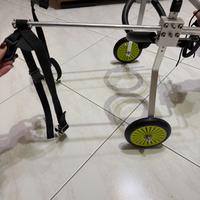Carrozzina cani disabili arti posteriori