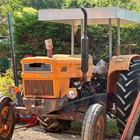 Trattore fiat 1000 sprovvisto di libretto non targ