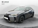 lexus-ux-hybrid-4wd-f-sport