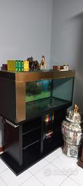 acquario 250 litri