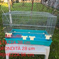 Voliera fondo azzurro