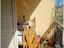 Immagine 18