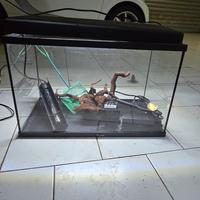 Acquario con accessori 