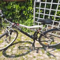 Bicicletta mountain bike