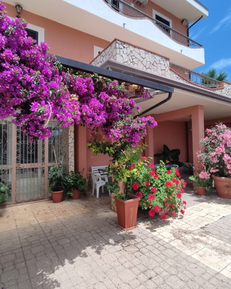 Appartamento Villa Marianna Bonifati