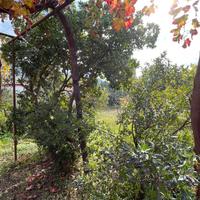 Villino con 4 camere e piano casa approvato