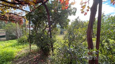 Villino con 4 camere e piano casa approvato