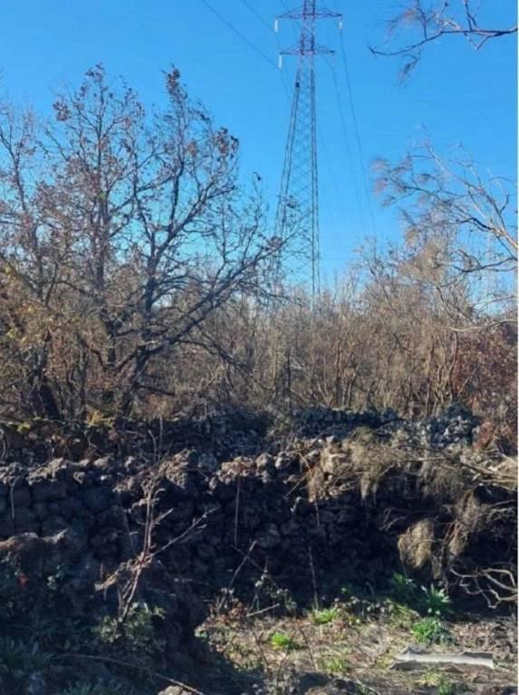 Immobile in asta di 36546 m² a Pedara - Vista 4
