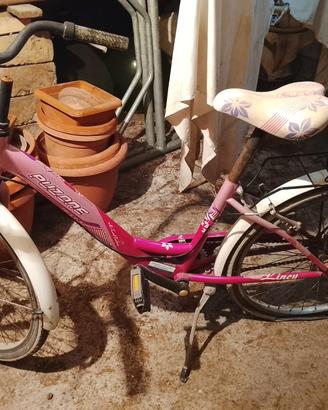 Bicicletta da donna