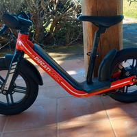 DUCATI E-BIKE BICI ELETTRICA BAMBINO