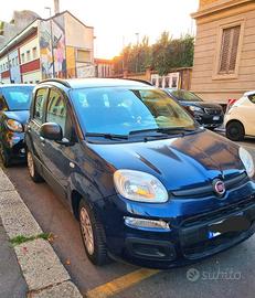 FIAT Panda 3ª serie - 2012 Solo 61,000 km