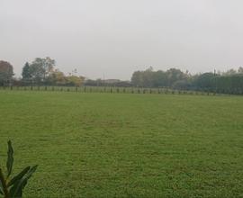 Terreno agricolo un ettaro