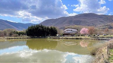 Attività Commerciale Scoppito [GRO152VCG]