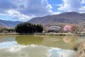 Attività Commerciale Scoppito [GRO152VCG]